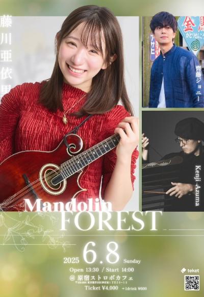 Mandolin "FOREST"
