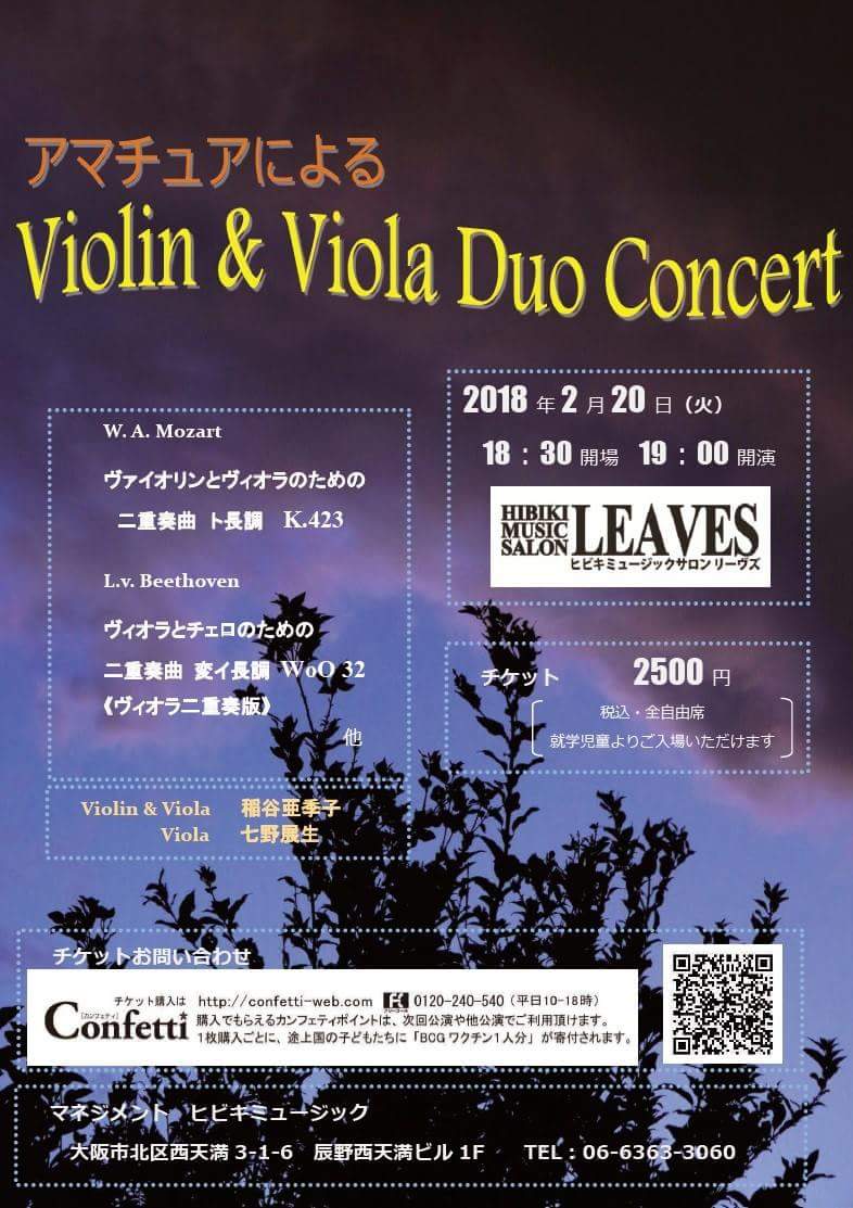 Violin & Viola Duo Concert