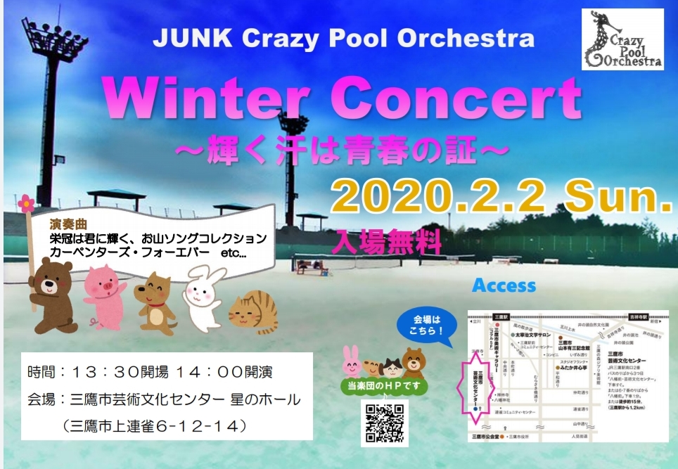  JUNK Crazy Pool Orchestra