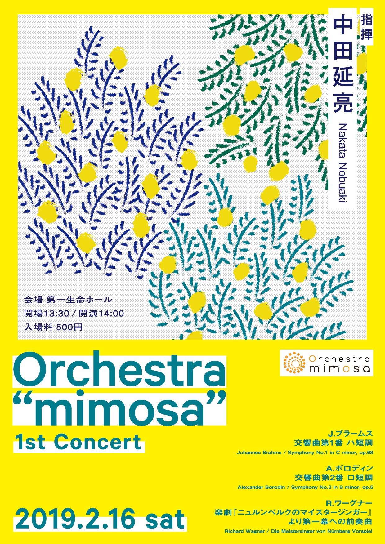 Orchestra “mimosa” 