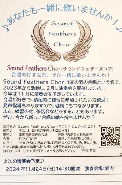 Sound Feathers Chor