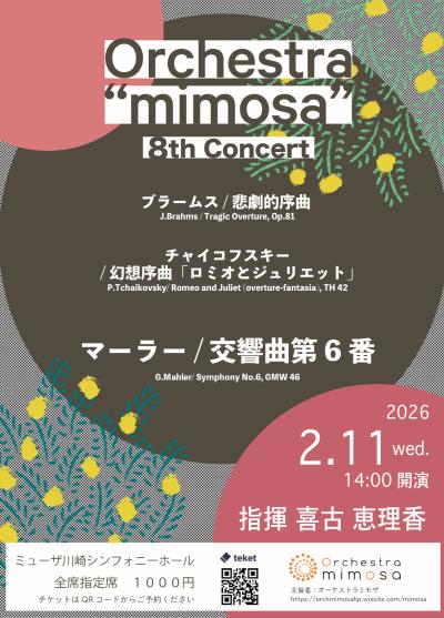 Orchestra “mimosa” 8th Concert