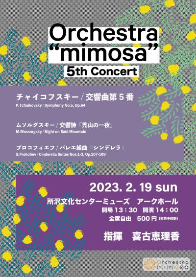 Orchestra "mimosa"