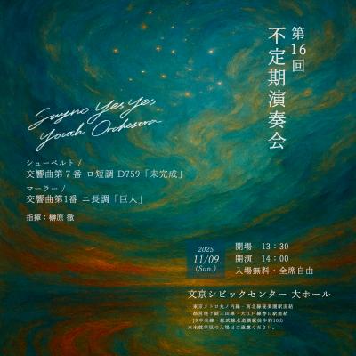 Say No Yes Yes Youth Orchestra第16回不定期演奏会