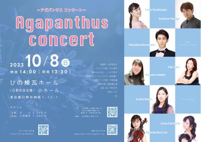 Agapanthus concert